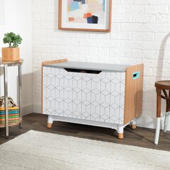 Wayfair sale toy chest